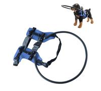 Gissroys Harnais de protection réglable pour chien avec rembourrage pour déficience visuelle