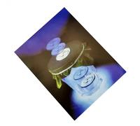 Gissroys Incroyable pièce de monnaie tour de magie pièce de monnaie pénétration feuille jouet Halloween fournitures pour bricoleurs magiciens cadeau jouet pour enfants garçons filles adultes