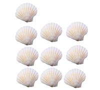 Gissroys Lot de 10 pendentifs à la mode avec coquillages Saint-Jacques naturels Accessoires de décoration pour la maison pour l'artisanat et la présentation de coquillages marins