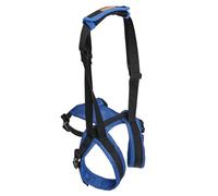 Gissroys Mobilités canines Ceinture d'assistance Ceinture d'Assistance Fermetures de Taille Réglable Animal de Compagnie Support de Jambe Arrière Faisceau de Levage pour Changement