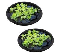 Gissroys Plante d'étang en polyester durable pour protéger la barrière nette pour poissons de fleurs pour les jardins et les étangs à poissons avec flux d'eau ventilés Couverture en maille