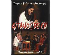 Gitanos De CAI-Flamenco Joven Vol. 1 [Import]