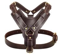 Gitre De Harnais De Harnais De Gros Chien en Cuir Authentique Doux Et Confortable Réglable pour Labrador Retriever German Shepherd Dog,Brun,XL