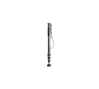 Monopode Gitzo GM2542 Carbone eXact Série 2