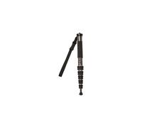 Gitzo GM2562T Monopod Noir