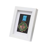 GIUPLOKID Grand Cadre d'affichage de la médaille, Support de Cadre d'affichage d'insigne et médaille en Bois Massif for Les médailles Sports Guerre Multicolore Peut contenir 1(White)