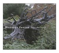 Giuseppe penone - arbre des voyelles Daniel Soutif (Auteur), Marie-Laure Bernadac (Auteur)