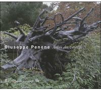 Giuseppe penone - arbre des voyelles - Daniel Soutif - Ecole Nat.sup.des Beaux-Arts - broché - Monographie