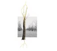 Giuseppe Penone Thoughts in the Roots