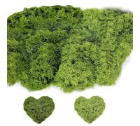 GIUSOBG Mousse Artificielle 100g Mousse Naturelle Mousse Artificielle Decoration Mousse DIslande Fausse Mousse Réaliste Réutilisable pour Compositions Florales, Travaux Manuels, Vert foncé+Vert Clair