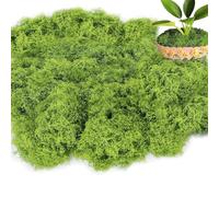GIUSOBG Mousse Artificielle 100g Naturelle Artificielle Decoration Mousse DIslande Fausse Réaliste Réutilisable pour Compositions Florales, Travaux Manuels (Vert Clair)