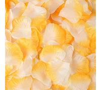 GIVBRO Lot de 1000 pétales de rose artificiels en soie pour mariage, anniversaire, demande en mariage, fête, décoration de chambre à coucher