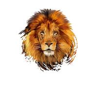 GIVBRO Patch thermocollant pour transfert de chaleur - Motif lion - Tigre - Pour vêtements, t-shirts, vestes, jeans, sacs à dos