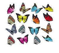 GIVBRO Patch thermocollant transfert thermique - Motif papillons et fleurs - Pour vêtements, t-shirt, veste, jeans, sacs à dos