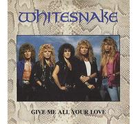 Give Me All Love/Fool for Your Loving (INCL. Product Fact) [Import]