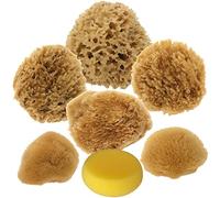 Givereldi éponges de Peinture d'artiste Naturelles et synthétiques - Texture Fine à Large - pour l'art, la décoration, la texturation, l'épongeage, Le marbrage, Le Faux Fini