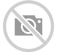 Givi BF Adapter, Support Tanklock