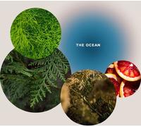 GIVING LOVE TO Gel Douche « Douche Marine Rafraîchissante » - The Ocean - 200 ml