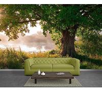 GIVLWF Papier Peint Mural de Chêne Personnalisé, Forêt Coucher De Soleil Déco de La Maison - pour Salon Chambre D'enfant Décoration Murale 400 x 280 cm