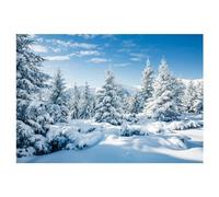 Giwnhvx 210 x 150 cm Hiver Neige Fond Tissu Flocon de Neige Arbre de Noël Paillettes Blanc Photographie toiles de fond E, E Facile à utiliser