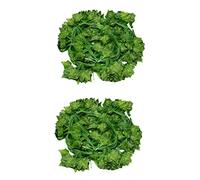 Giwnhvx 24x Feuilles de Lierre Artificielles Vigne Guirlande Suspendue Faux Bougainvillier Maison Jardin Bureau Décoration Vert