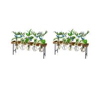 Giwnhvx 2X Stations de Propagation Terrarium de Plantes à Air de Bureau, Vase en Verre avec Support en Bois - Terrarium pour Plantes