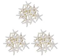 Giwnhvx 30 Pièces Étoile de Mer de Doigt Crayon Blanc-CrèMe pour La Décoration de Mariage, La Décoration Intérieure et Le Projet D'Artisanat