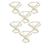 Giwnhvx 6 Pièces Séries GéOmétrique Air Plante Titulaire Support D'Usine d'air Rack Plantes en Métal Stand Planteur Étagères Himmeli Décor Tillandsia Conteneurs