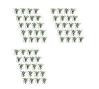 Giwnhvx 60 Pièces Support de Plante à Air, Pot de Plante Support de Tillandsia Support de Plante à Air avec Ventouse à Suspendre (Plantes Non Incluses)