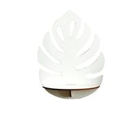 Giwnhvx Cadre mural flottant en bois pour pot de fleurs et plantes - Support de rangement pour chambre de fille - Cadeau idéal