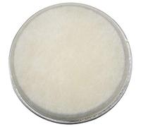 Giwnhvx Cuir d'animal artificiel de 10 pouces de diamètre de tambour de 27,5 cm en cuir rond pour tambours de chaman/tambours africains beige