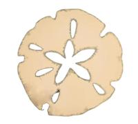 Giwnhvx Décoration murale, dollar de sable, décoration murale, ronde, dollar de sable, art mural, décoration de plage, décoration à suspendre, couleur bois S