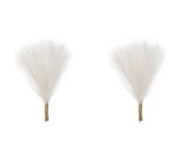Giwnhvx Faux Herbe de Pampa, 18Pouce/45cm Herbe de Pampa Artificielle 10 Tige Pompous Herbe Arrangement de Fleurs pour (Blanc)