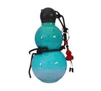 Giwnhvx Gourde d'inspiration rétro chinoise 800 ml - Bouteille d'eau de sport - Bouteille d'eau de voyage pour salle de sport - Bleu