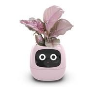 Giwnhvx Jardinière Intelligente de Lierre, Pot de Fleur D'Intérieur Rechargeable par USB pour la Décoration Intérieure, Rend la Culture des Plantes Facile et Amusante, Rose