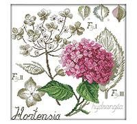 Giwnhvx Kits de Point de Croix EstampilléS pour Adultes DéButants Enfants, Fleur Feuilles Fleurs Silhouette 11CT Bricolage Broderie Kit de Couture