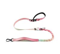 Giwnhvx Laisse Antidéflagrante pour Chien de Compagnie Laisse pour Animaux de Compagnie Taille Bandoulière Mains Laisse pour Chien Rose Vert Dégradé