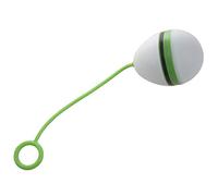 Giwnhvx Lampe de tente LED en forme d'œuf - Portable - Pour la pêche, le bateau, le camping - Vert