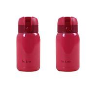 Giwnhvx Lot de 2 mini bouteilles en acier inoxydable (rose rouge) 200 ml
