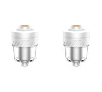 Giwnhvx Lot de 2 préfiltres pour chauffe-eau - Purificateur d'eau - Purificateur d'eau - Pour douche domestique - Filtre de chauffe-eau - B