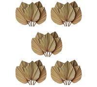 Giwnhvx Lot de 25 feuilles de palmier séchées - 45,7 x 25,4 cm (H x l) - Grande décoration naturelle en feuille de palmier pour un beau look bohème