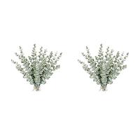 Giwnhvx Lot de 36 tiges d'eucalyptus artificielles - Branches de feuilles d'eucalyptus gris véritable