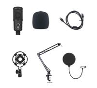 Giwnhvx Microphone USB de jeu à condensateur d'annulation de bruit pour PC Podcast Microphone avec support de perche B