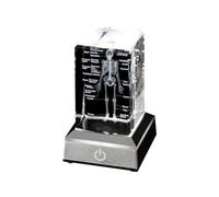 Giwnhvx Modèle de Squelette Humain, Cadeau D'Anatomie, Modèle de Squelette en Cristal, Modèle de Squelette avec Étiquette en Cristal pour Étudiants en Médecine