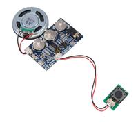 Giwnhvx Module de musique programmable à puce - 17 minutes - Son audio vocal pour carte de vœux - Cadeau fait maison