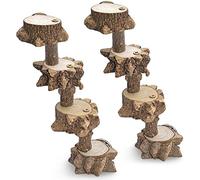 Giwnhvx Plateforme pour oiseaux - Aire de jeux pour perruches - Support de jeu en bois naturel - Perchoirs plats - Jouet d'escalade pour cage à oiseaux