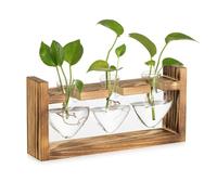 Giwnhvx Station de Propagation en Verre pour Plantes: Vases Vintage Décoratifs avec Cadre en Bois pour Étagère de Salon et de Bureau
