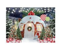 Giwnhvx Toile de fond de Noël 300 x 200 cm Maison de neige multifonctionnelle pratique pour photographie Facile à utiliser