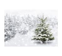 Giwnhvx Toile de fond d'hiver 210 x 150 cm, flocon de neige, sapin de Noël, paillettes, blanc, pour photographie, F, facile à installer, facile à utiliser