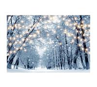 Giwnhvx Toile de fond d'hiver 210 x 150 cm, flocon de neige, sapin de Noël, paillettes, blanc, toile de fond pour photographie, D, facile à installer et à utiliser